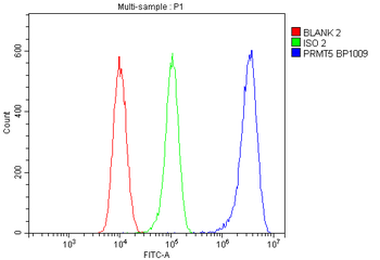 PRMT5 Rabbit Polyclonal Antibody