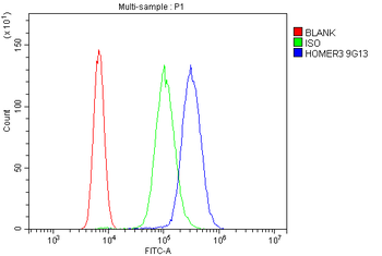 HOMER3 Mouse Monoclonal Antibody