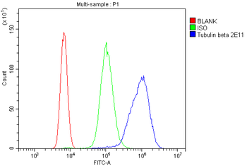 Anti-Beta Tubulin TUBB Antibody (monoclonal, 2E11)