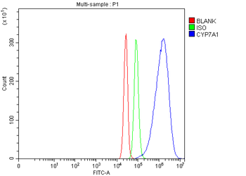 CYP7A1 Antibody