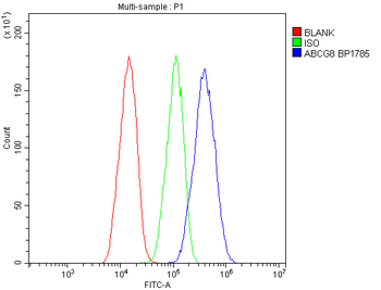 ABCG8 Antibody