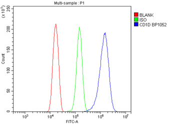 CD1D Rabbit Polyclonal Antibody