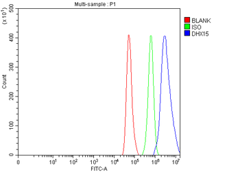 DHX15/prp43 Antibody