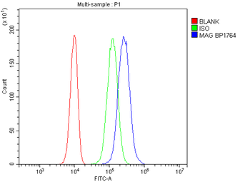 Anti-MAG Antibody