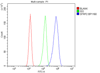 SFRP2 Antibody