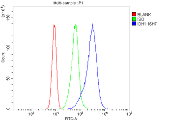 IDH1 Antibody (monoclonal, 16H7)