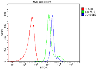 CD46 Antibody (monoclonal, 9E9)