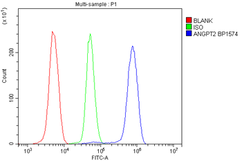 Anti-Angiopoietin-2/ANGPT2 Antibody