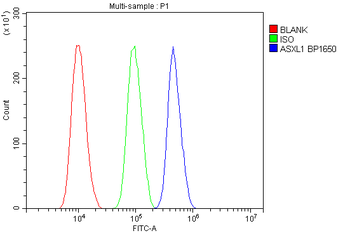ASXL1 Antibody