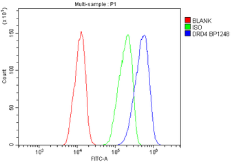 DRD4 Antibody