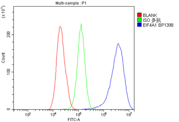 Anti-EIF4A1 Antibody