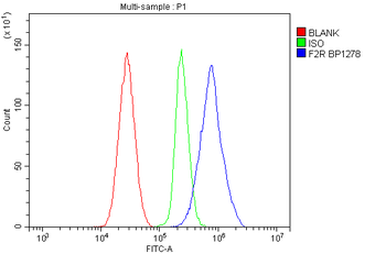 PAR1/Thrombin Receptor/F2r Antibody