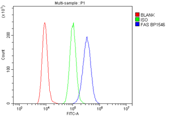 Fas Antibody