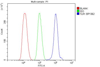 Anti-Toll-like receptor 1 TLR1 Antibody