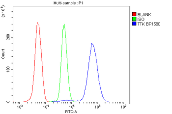 Anti-TTK/Mps1/TTK Antibody