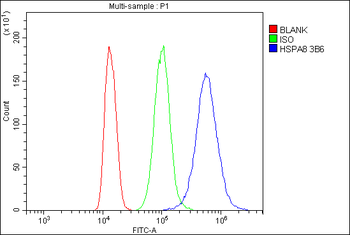 Anti-Hsc70 Antibody (monoclonal, 3B6)