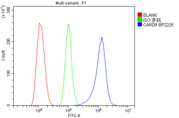 Anti-CARD9 Antibody