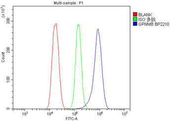Anti-GPNMB/Gpnmb Antibody