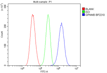Anti-GPNMB/Gpnmb Antibody