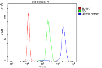 Anti-KDM6B/JMJD3 Antibody