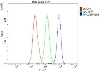 Anti-Niemann Pick C2/NPC2 Antibody