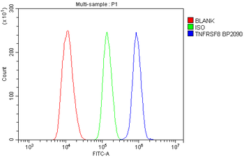 Anti-CD30/Tnfrsf8 Antibody