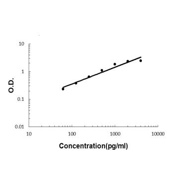 IL32 Mouse Monoclonal Antibody