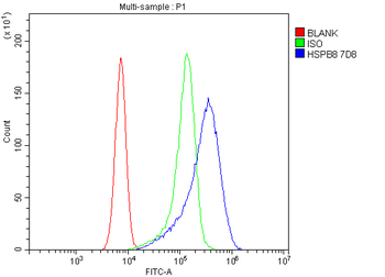 Anti-HSPB8/Hsp22 Antibody (monoclonal, 7D8)