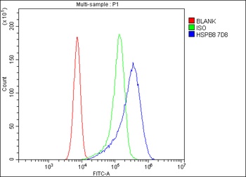 HSPB8/Hsp22 Antibody (monoclonal, 7D8)