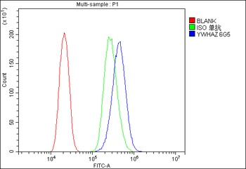 14-3-3 zeta/delta/YWHAZ Antibody (monoclonal, 6G5)