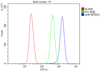 Anti-Aryl hydrocarbon Receptor/AHR Antibody