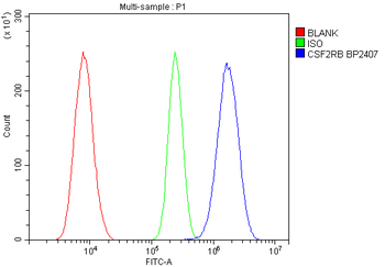Anti-IL-3RB/Csf2rb Antibody