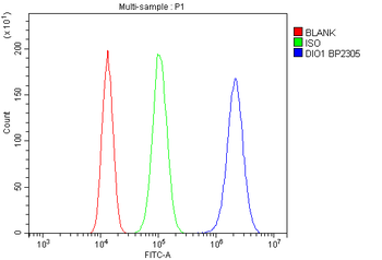 DIO1 Rabbit Polyclonal Antibody