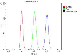 Anti-DIO1 Antibody
