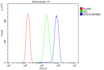 EPS15 Rabbit Polyclonal Antibody