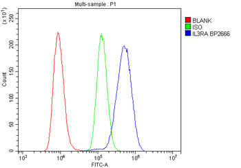 IL3RA/CD123 Rabbit Polyclonal Antibody