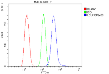 Anti-LDL Receptor/LDLR Antibody