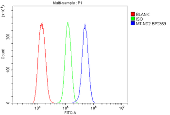 Anti-NADH2/Mtnd2 Antibody