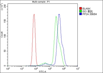 PP2A-alpha/PPP2CA Antibody (monoclonal, 3B6)