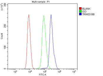 TIF1 gamma/TRIM33 Antibody (monoclonal, 8I8)