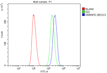 hnRNP D/AUF1/HNRNPD Antibody (monoclonal, 2B12)