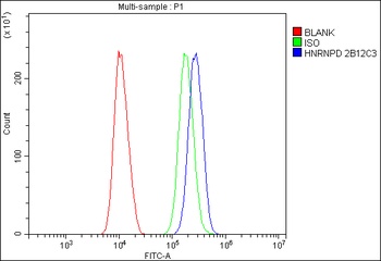hnRNP D/AUF1/HNRNPD Antibody (monoclonal, 2B12)