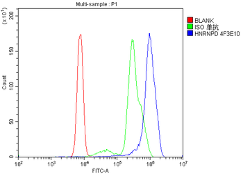 Anti-hnRNP D/AUF1/HNRNPD Antibody (monoclonal, 4F3)