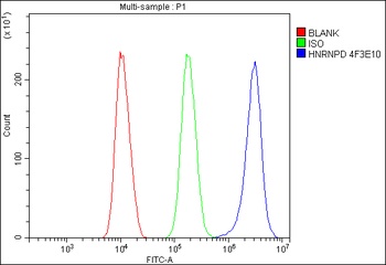 hnRNP D/AUF1/HNRNPD Antibody (monoclonal, 4F3)