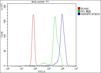 hnRNP D/AUF1/HNRNPD Antibody (monoclonal, 4F3)