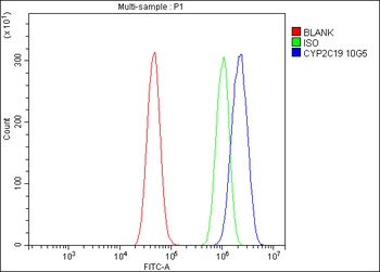 Cytochrome p450 2C19/CYP2C19 Antibody (monoclonal, 10G5)