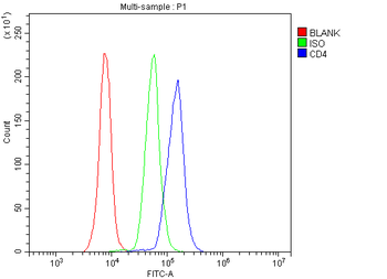 CD4 Antibody