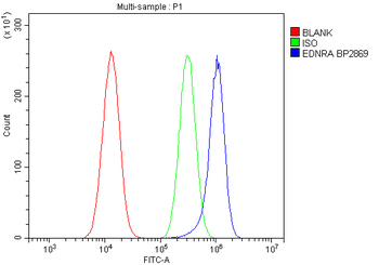 Endothelin A Receptor/ET-A/EDNRA Antibody