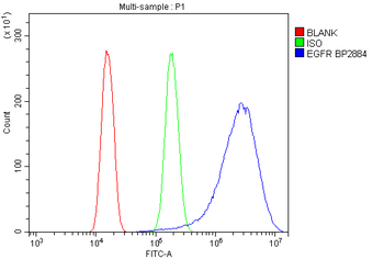 Anti-EGFR Antibody