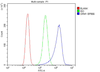 Anti-mGluR1/GRM1 Antibody
